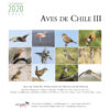 Calendario 2020 - Imagen 2