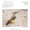 Calendario 2020 - Imagen 11
