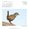 Calendario 2020 - Imagen 12