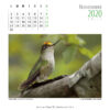 Calendario 2020 - Imagen 13