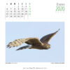 Calendario 2020 - Imagen 3