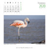 Calendario 2020 - Imagen 4