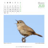 Calendario 2020 - Imagen 5