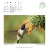 Calendario 2020 - Imagen 6