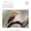 Calendario 2020 - Imagen 7
