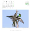 Calendario 2020 - Imagen 8
