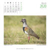 Calendario 2020 - Imagen 9