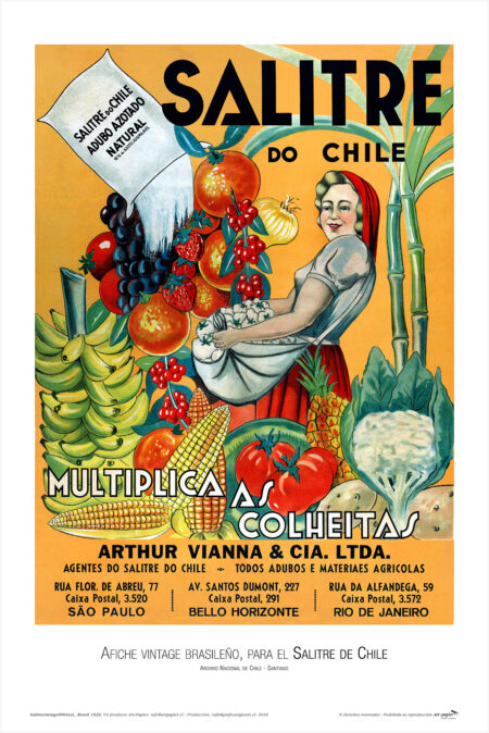 Afiche del Salitre Chileno