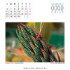 Calendario - Imagen 5