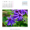 Calendario - Imagen 4