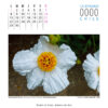 Calendario - Imagen 3