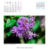 Calendario - Imagen 2