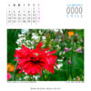 Calendario - Imagen 13