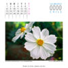 Calendario - Imagen 12