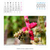 Calendario - Imagen 11