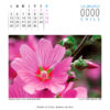 Calendario - Imagen 10