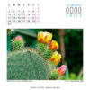 Calendario - Imagen 9