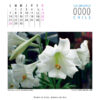 Calendario - Imagen 8