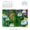 Calendario - Imagen 7