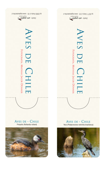 2 Marcadores de páginas magnetizados de Aves de Chile