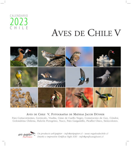 Calendario de escritorio 2023