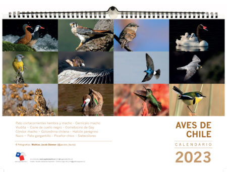 Calendario mural Aves de Chile 2023